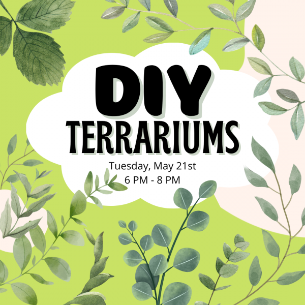 Image for event: DIY Terrariums 